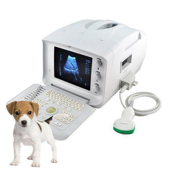 veterinarian B Ultrasound Scanner Machine Micro-convex Array Probe Animals 3D 190891743565 DIAGNOSTIC ULTRASOUND MACHINES FOR SALE