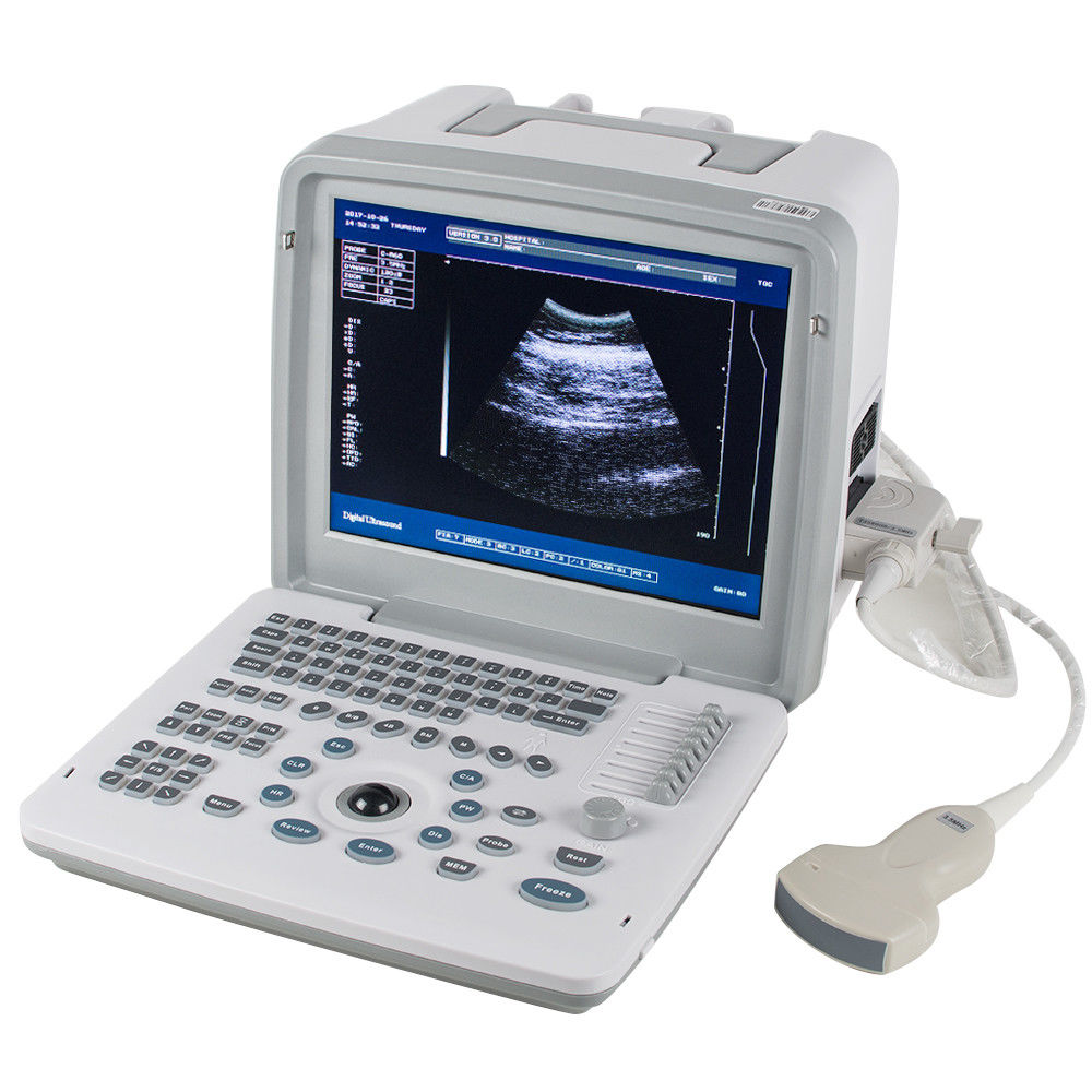 Veterinary Animals Portable Ultrasound Scanner/Machine Linear Probe 3D Livestock DIAGNOSTIC ULTRASOUND MACHINES FOR SALE