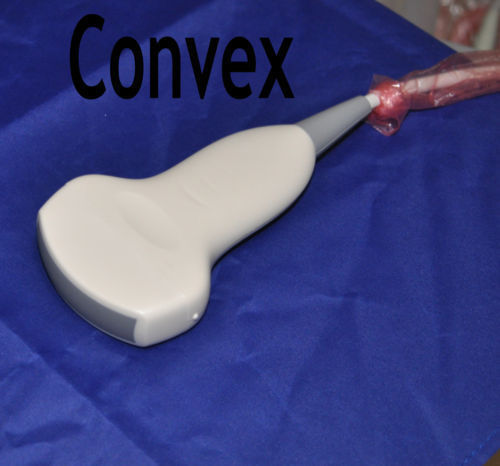 LCD 3D Image Digital Ultrasound Scanner Monitor Convex Transvaginal Probes USB DIAGNOSTIC ULTRASOUND MACHINES FOR SALE