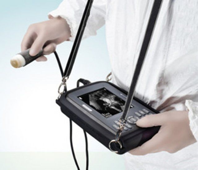 Laptop Wrist Ultrasound Scanner Machine Handheld Animal Veterinary +Convex Probe DIAGNOSTIC ULTRASOUND MACHINES FOR SALE